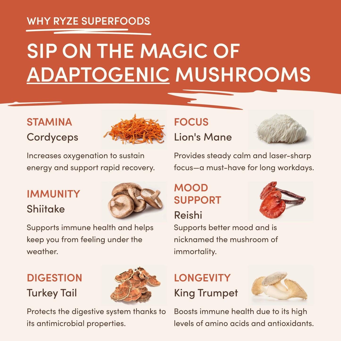 Superfood Creamer (30 Servings)
