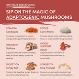 Mushroom Chai (1 Pack - 20 Servings)